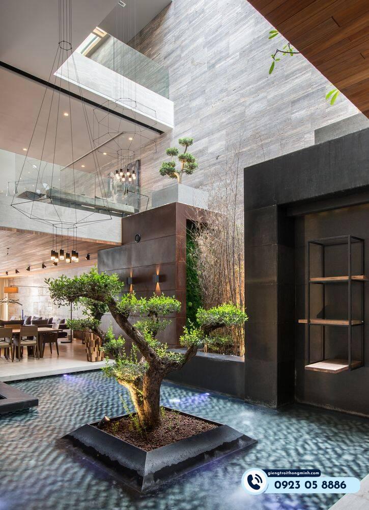 bể cá giếng trời ấm sàn